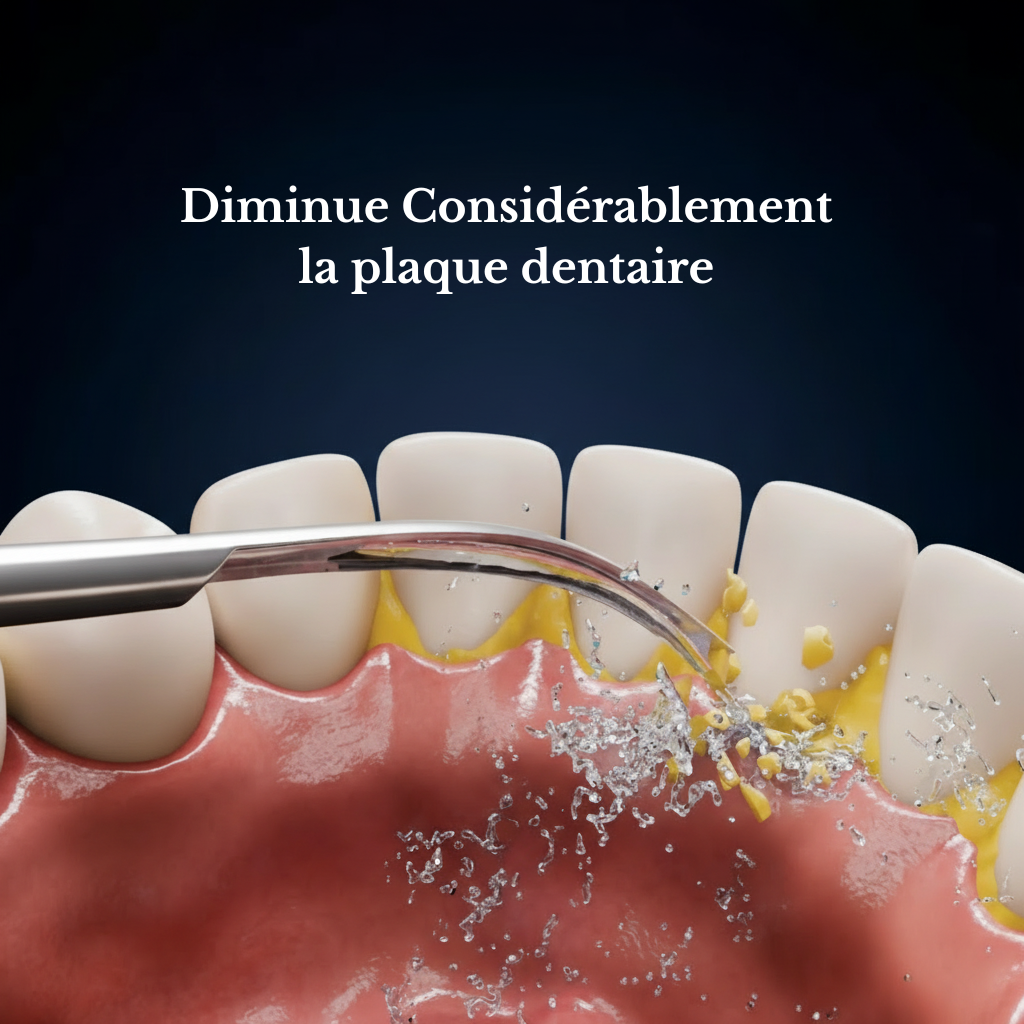 Brosse à dents 2 en 1 - Brossage + Jet dentaire