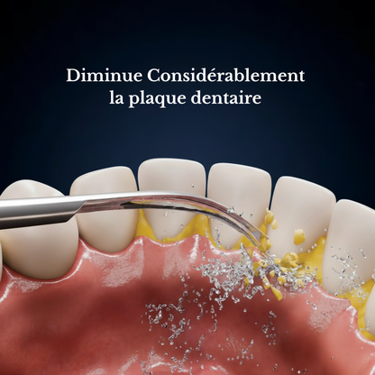 Brosse à dents 2 en 1 - Brossage + Jet dentaire